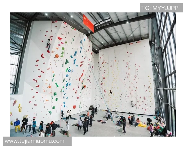 深圳攀岩队在攀岩节奏排名中创下历史新高引发广泛关注与赞誉