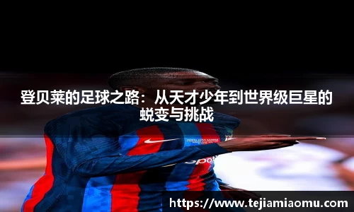 星空·综合体育