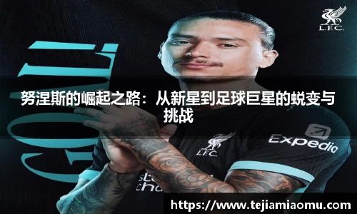 努涅斯的崛起之路：从新星到足球巨星的蜕变与挑战