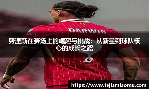 努涅斯在赛场上的崛起与挑战：从新星到球队核心的成长之路